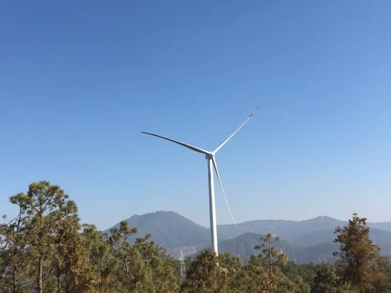 小组研究生到世界上最大的风电公司工地进行专题踏勘