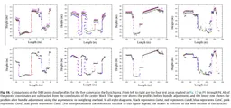 An asymmetric re-weighting method for the precision combined bundle adjustment of aerial oblique images